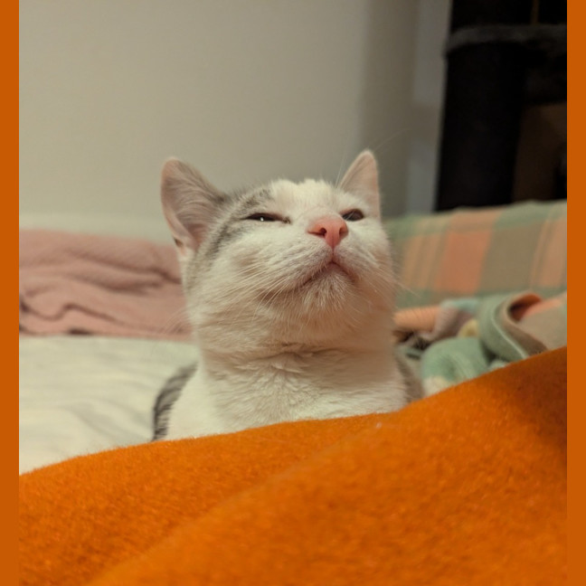 Photo of Benito