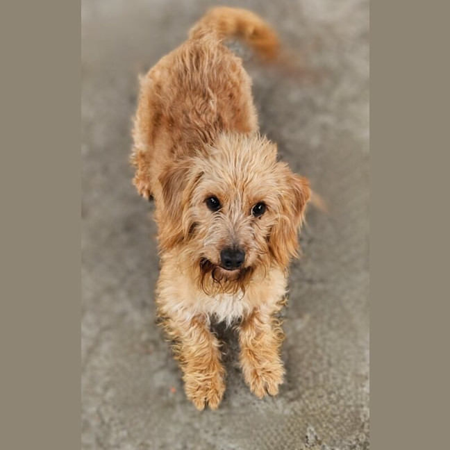 Photo of Coco
