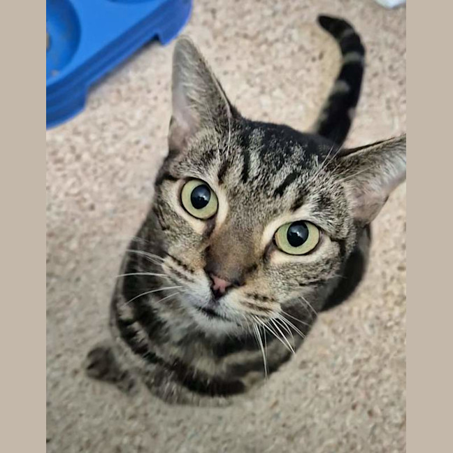 Photo of Jude