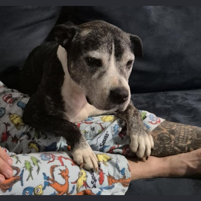Photo of Diesel