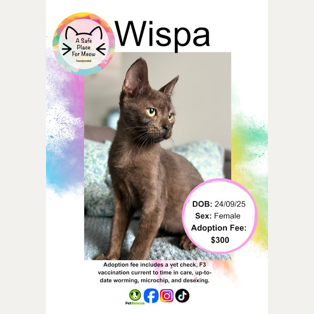 Photo of Wispa