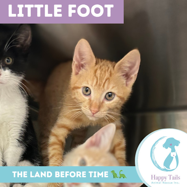 Photo of Little Foot