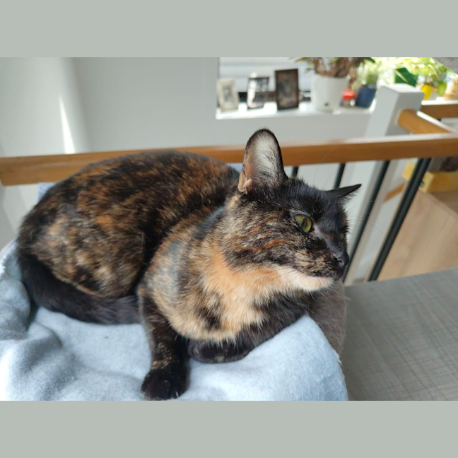 Photo of Hera