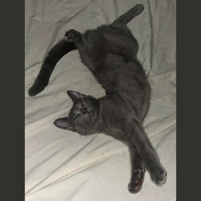 Photo of Alvin