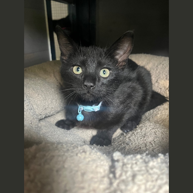 Photo of Mav