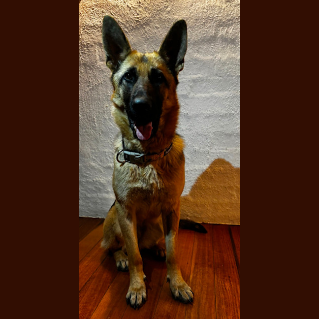 Photo of Zora