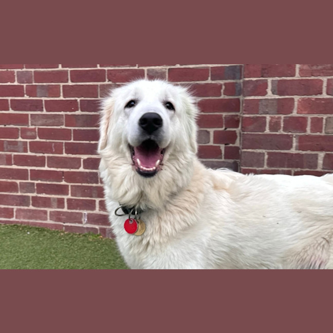 Photo of Darla