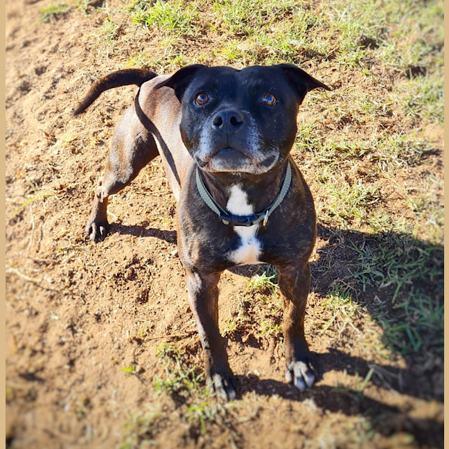 Photo of Max