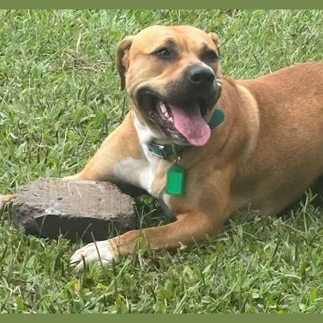 Photo of Rosie