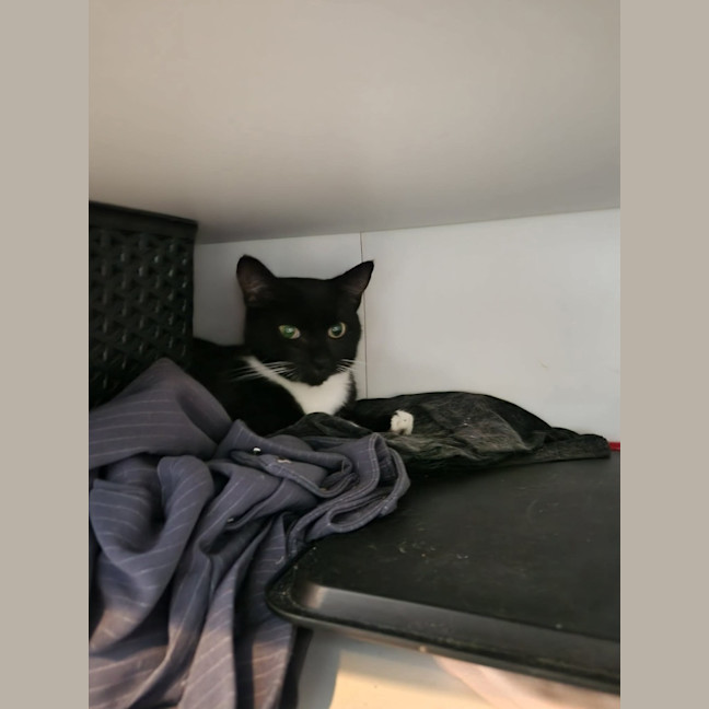Photo of Selene
