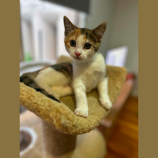 Photo of Cally