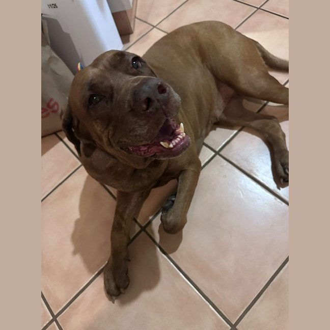 Photo of Hazel