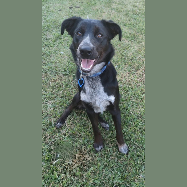 Photo of Betty