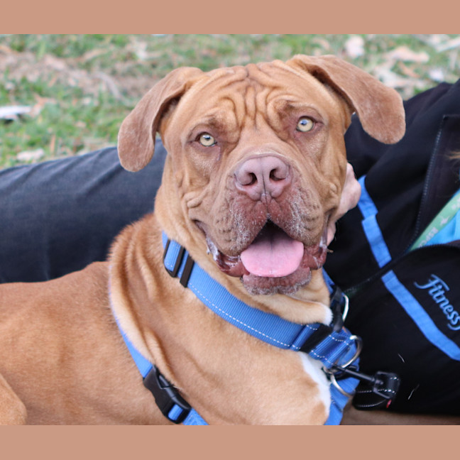 Photo of Zeke