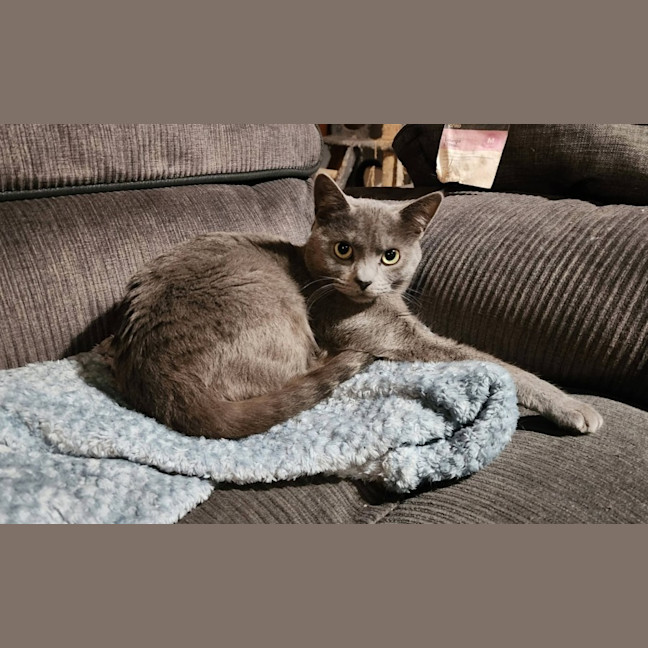 Photo of Heidi And Icy