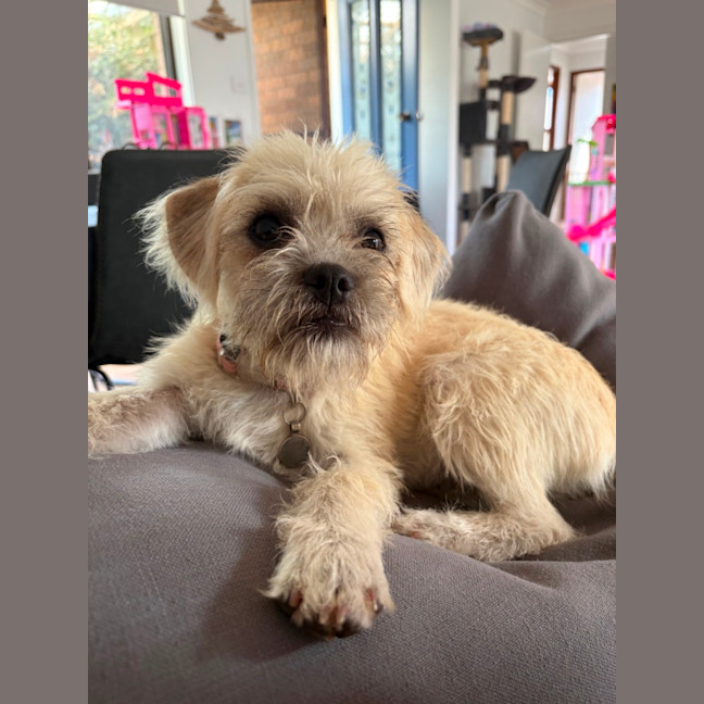 Photo of Emmy