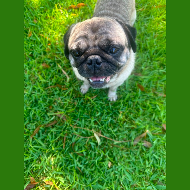 Photo of Walter