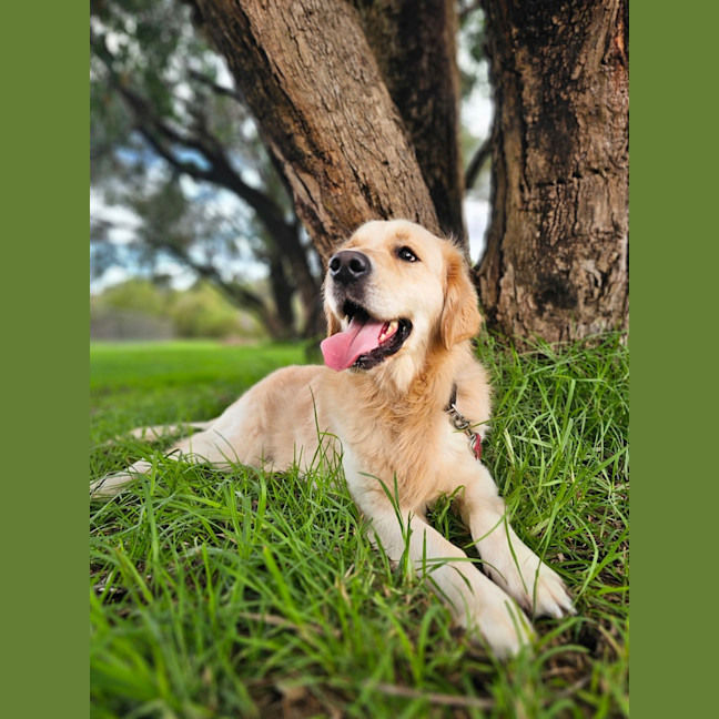 Photo of Oakley