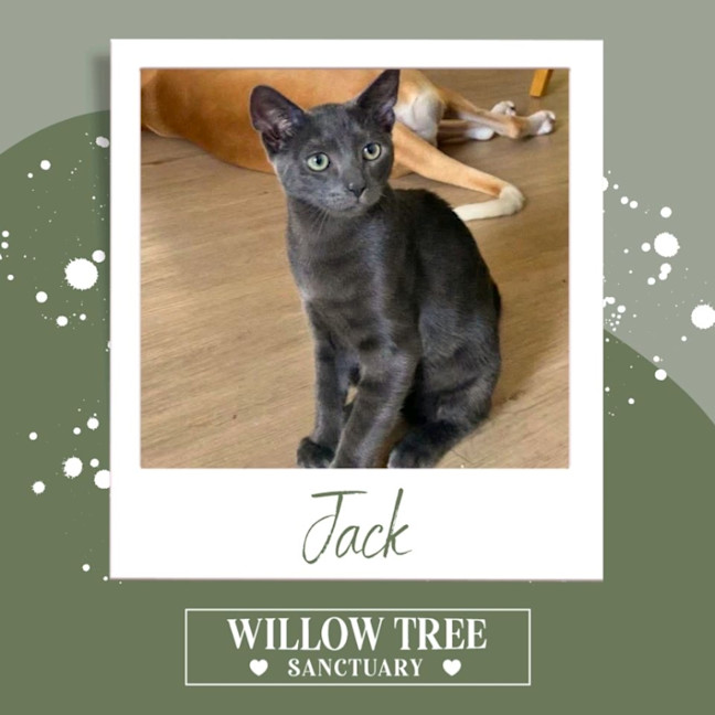 Photo of Jack