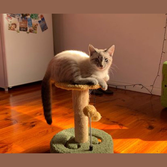 Photo of Lilly