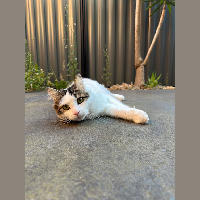 Photo of Nori & Nina