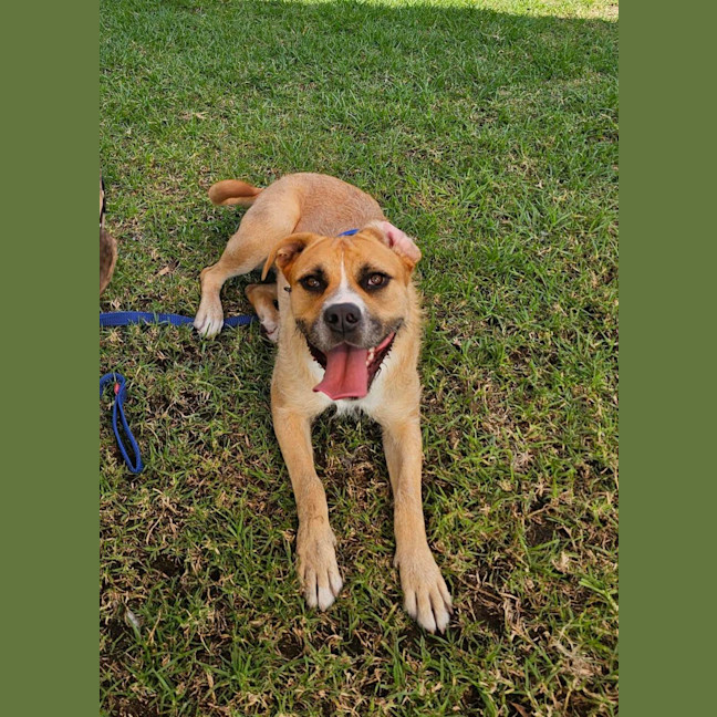 Photo of Tilly