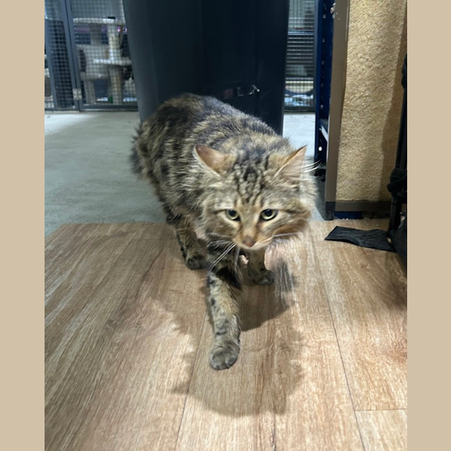 Photo of Mr Brightside