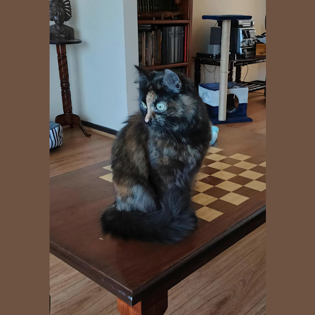 Photo of Daisy