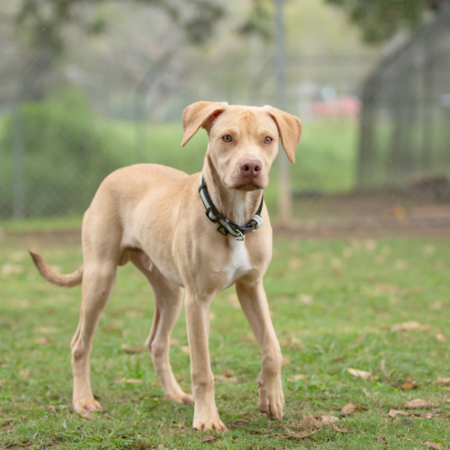 Photo of Cash