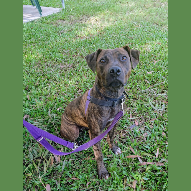 Photo of Roxy