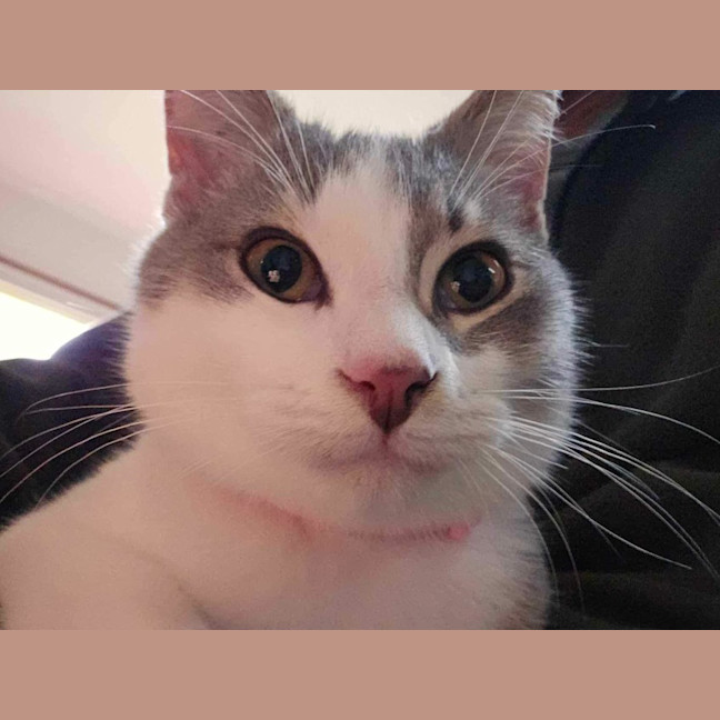 Photo of 🤎 Douglas 🤎