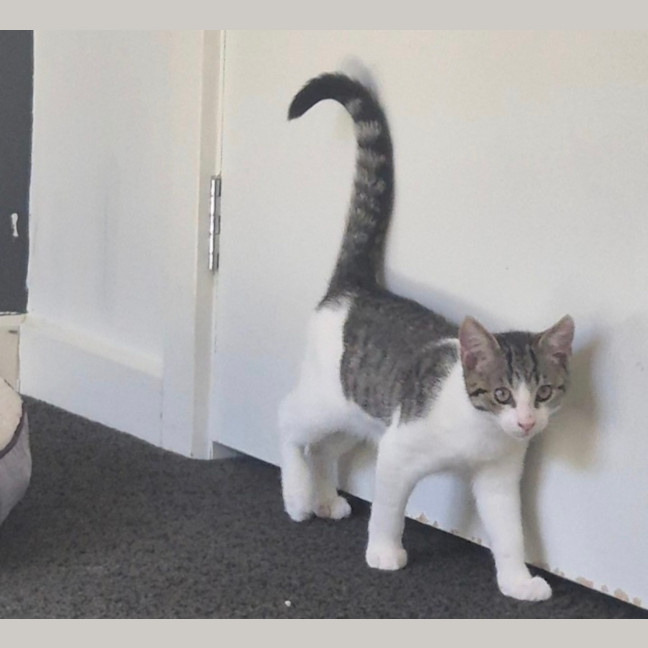 Photo of River Meet Me@Petstock Carrum Downs 