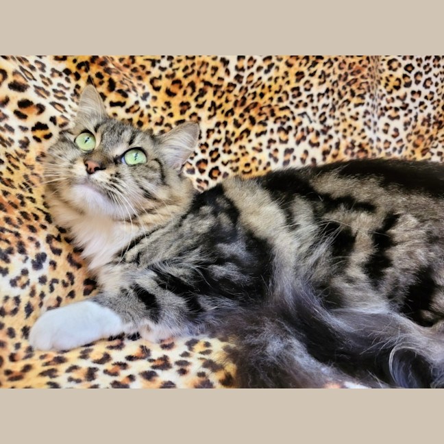 Photo of Georgie🍀