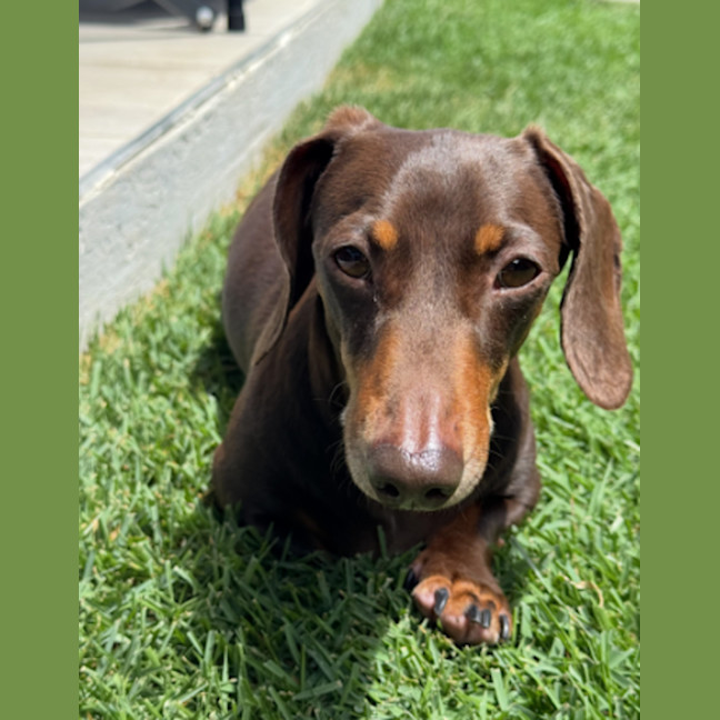 Photo of Douglas (Dougie)
