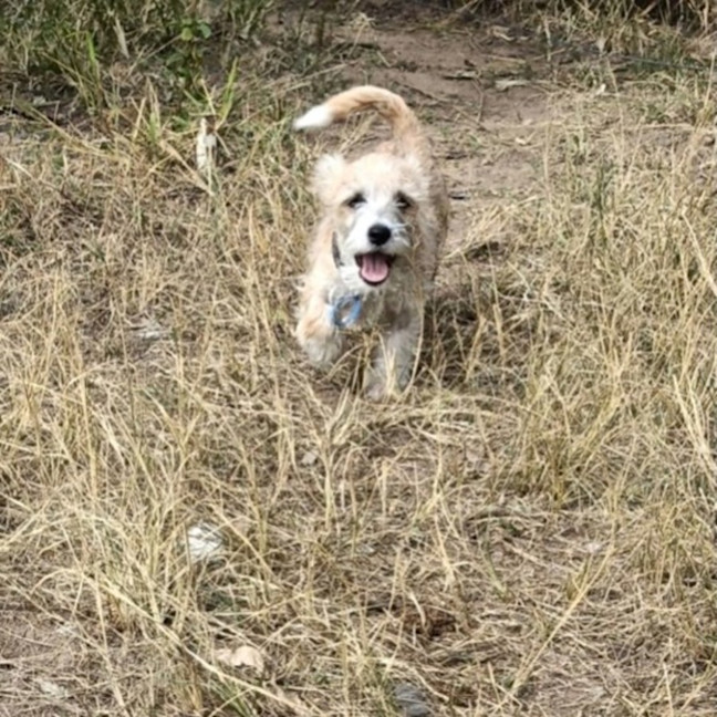 Photo of Troy 