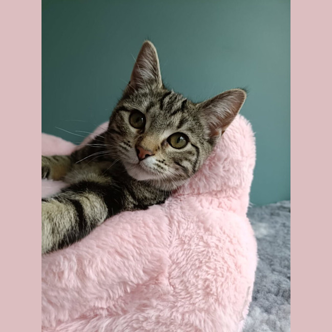 Photo of Mindy