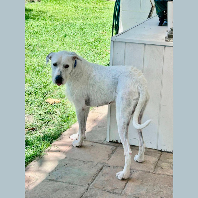 Photo of Betty 