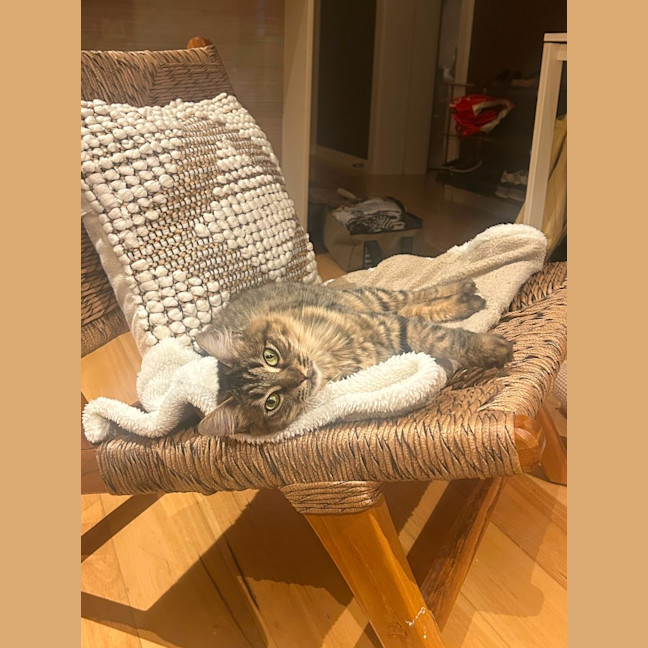 Photo of Rhea