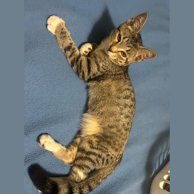 Photo of Bella