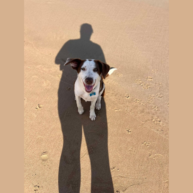 Photo of Pepper