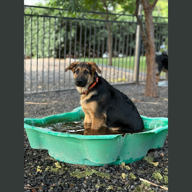 Photo of Fergus 🧡