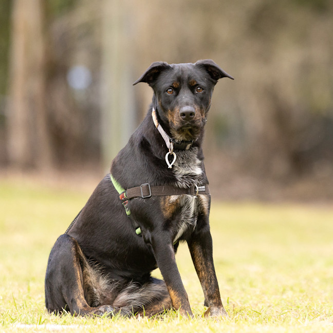 Photo of Freya
