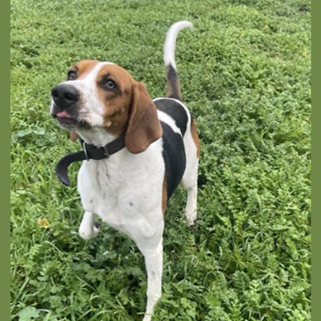 Photo of Wally