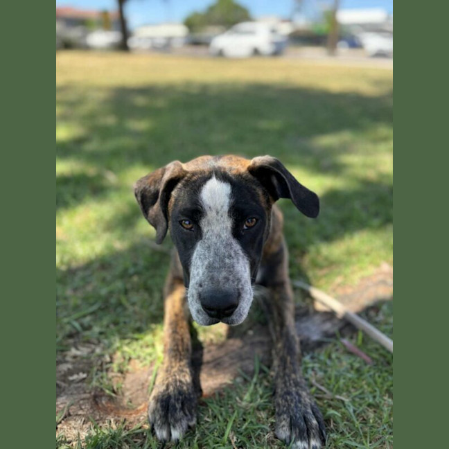 Photo of Rayne