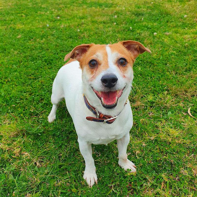Photo of Suki