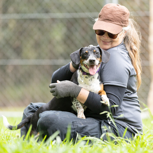 Photo of Tuppence