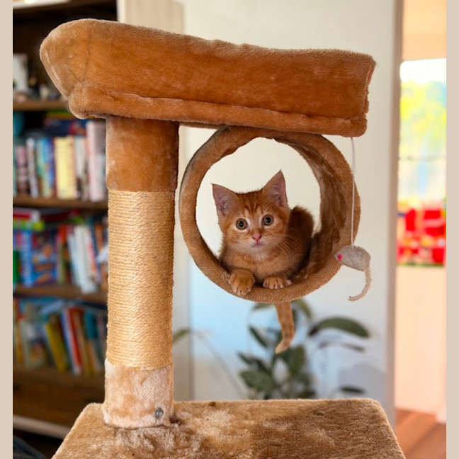 Photo of Jethro