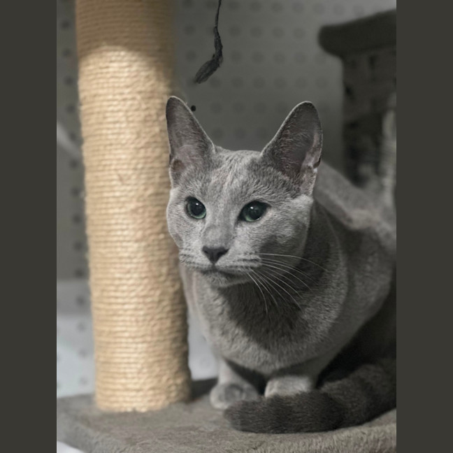 Photo of Elani 😻👑