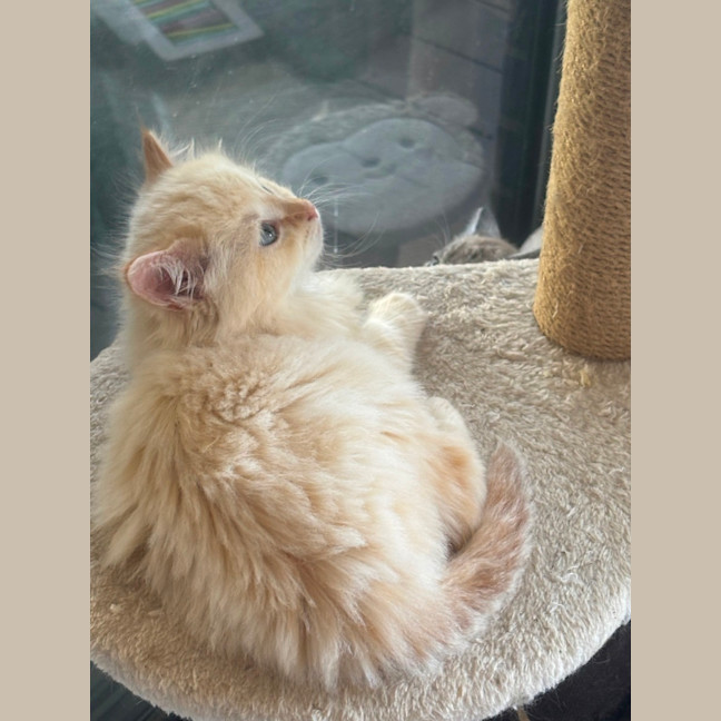 Photo of Oats Meet Me @Petstock Carrum Downs Store