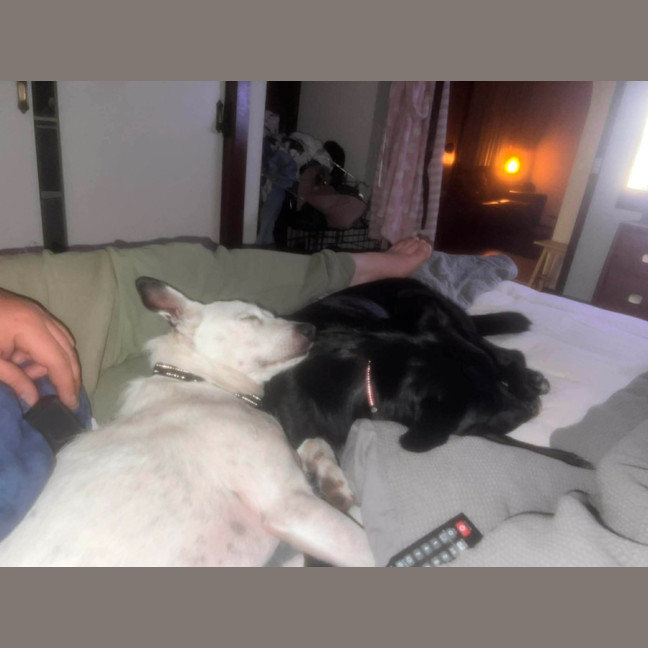 Photo of Augustus May Who